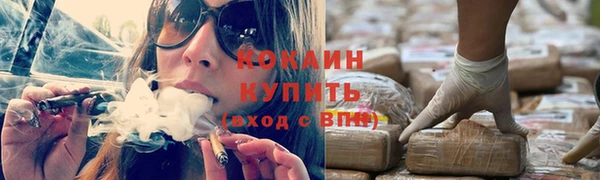 сатива Волосово