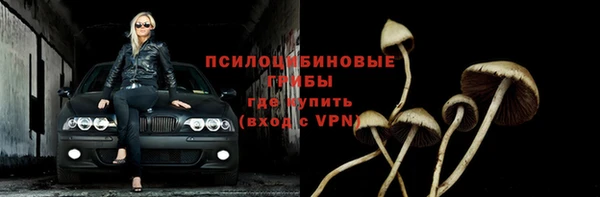 сатива Волосово