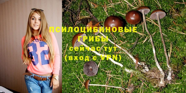 сатива Волосово