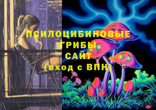 сатива Волосово