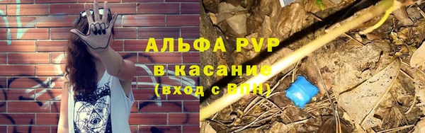 сатива Волосово