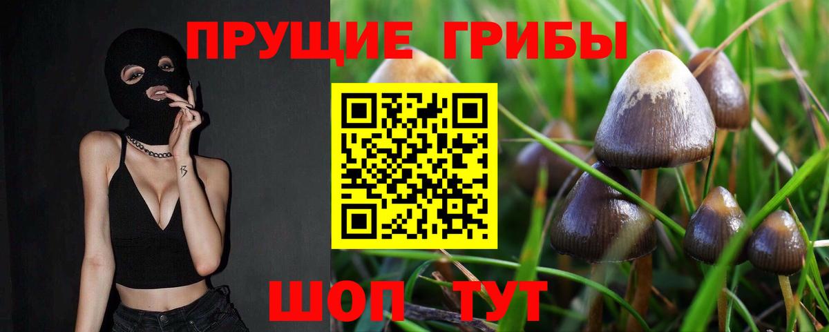 Галлюциногенные грибы Psilocybine cubensis Еманжелинск