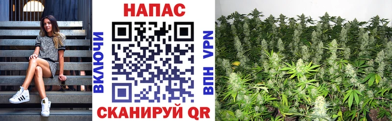 площадка наркотические препараты  Еманжелинск  Марихуана гибрид 